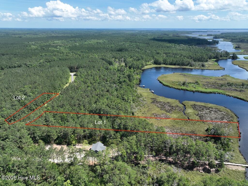 175 North Berne Landing Road Property Photo 3