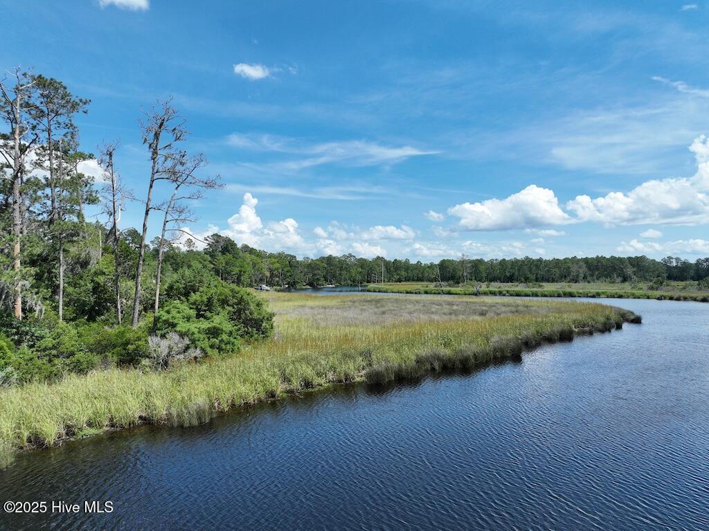 175 North Berne Landing Road Property Photo 7