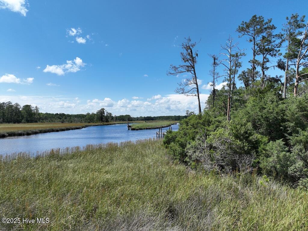 175 North Berne Landing Road Property Photo 8