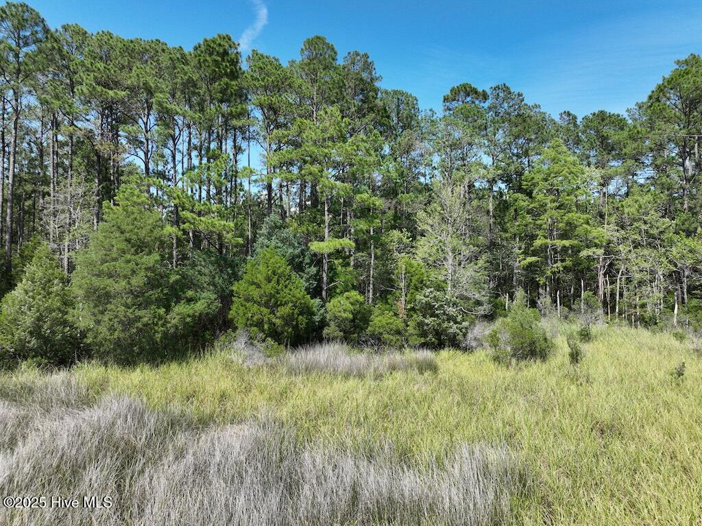 175 North Berne Landing Road Property Photo 9