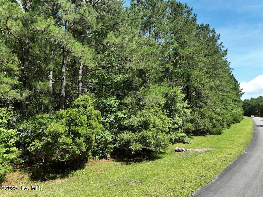 175 North Berne Landing Road Property Photo 10