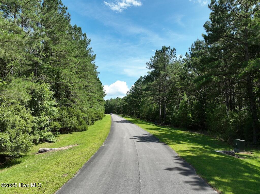 175 North Berne Landing Road Property Photo 11