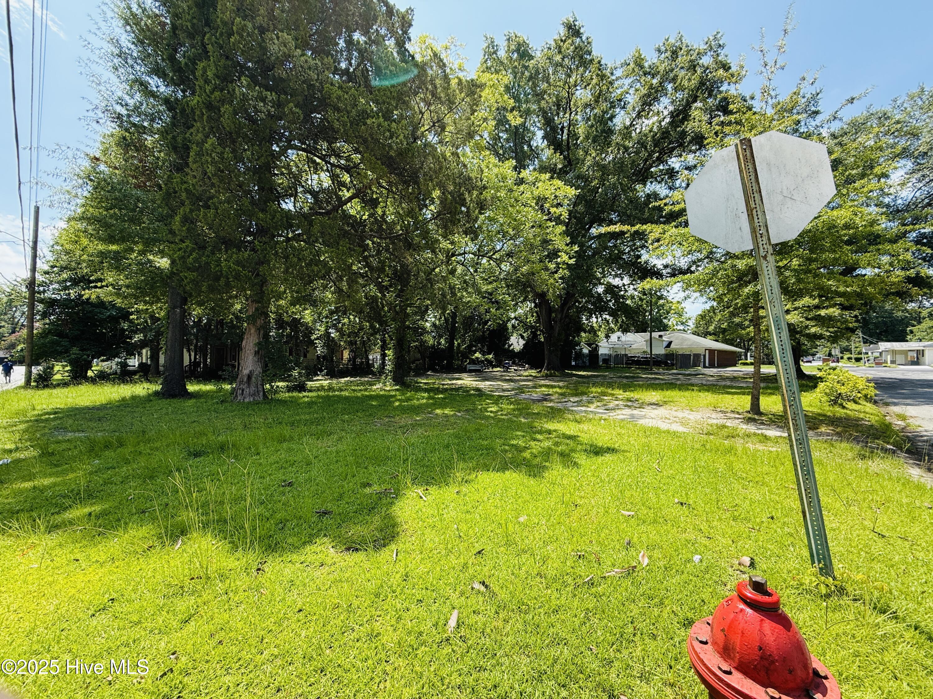 1013 Ward Street Property Photo 2