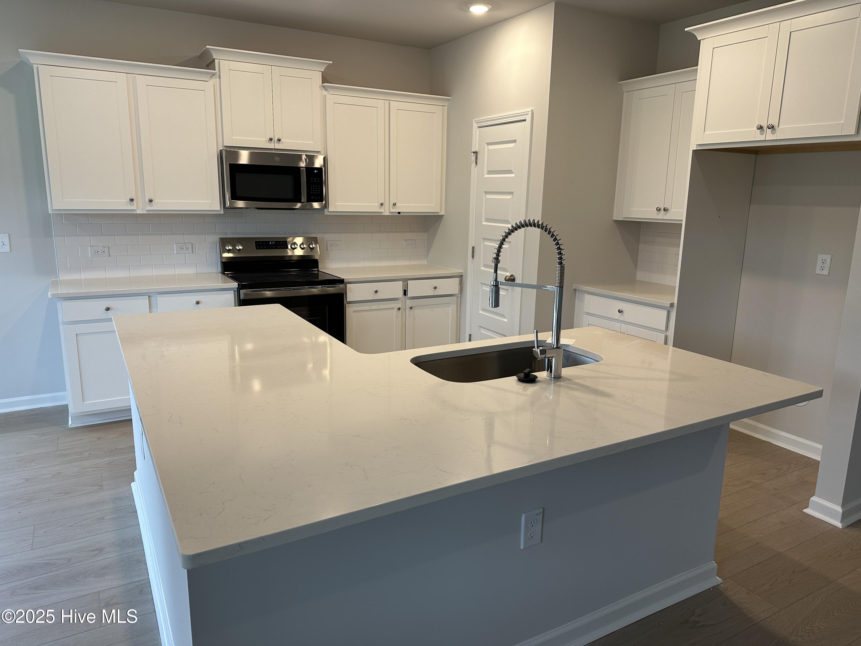 3341 Wood Stork Drive Litchfield Ii Lot 83 Property Photo 2