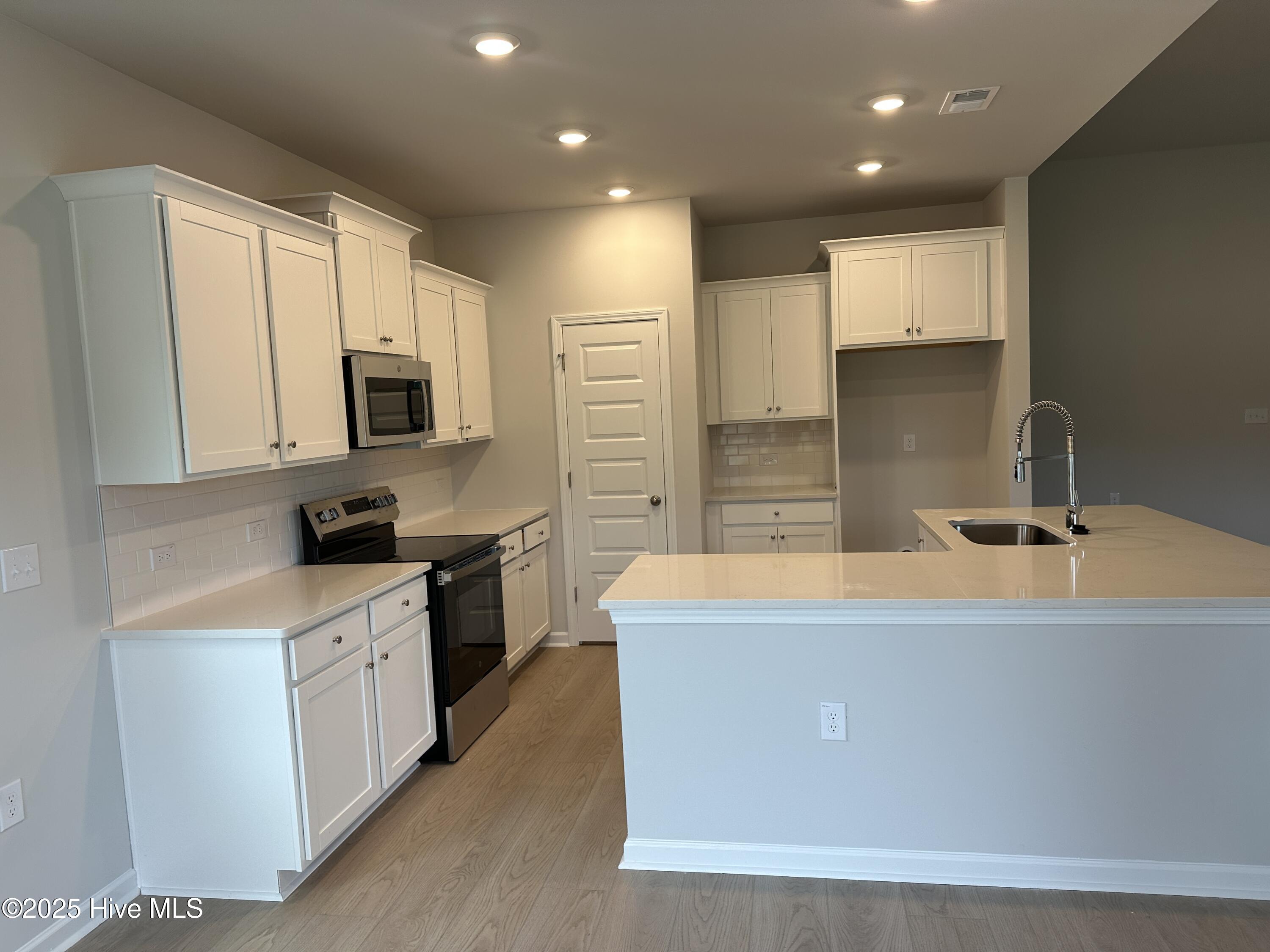 3341 Wood Stork Drive Litchfield Ii Lot 83 Property Photo 3