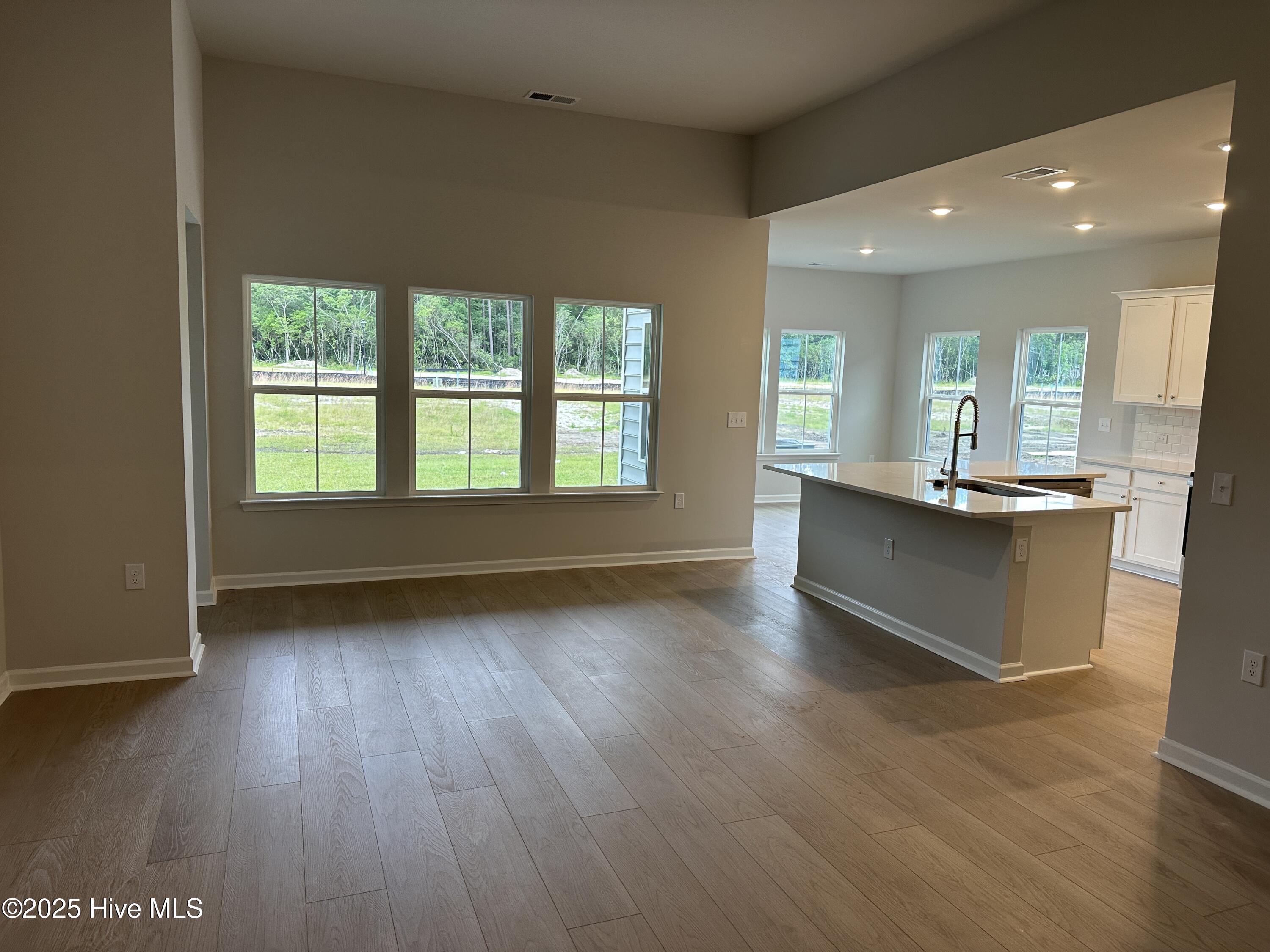 3341 Wood Stork Drive Litchfield Ii Lot 83 Property Photo 6