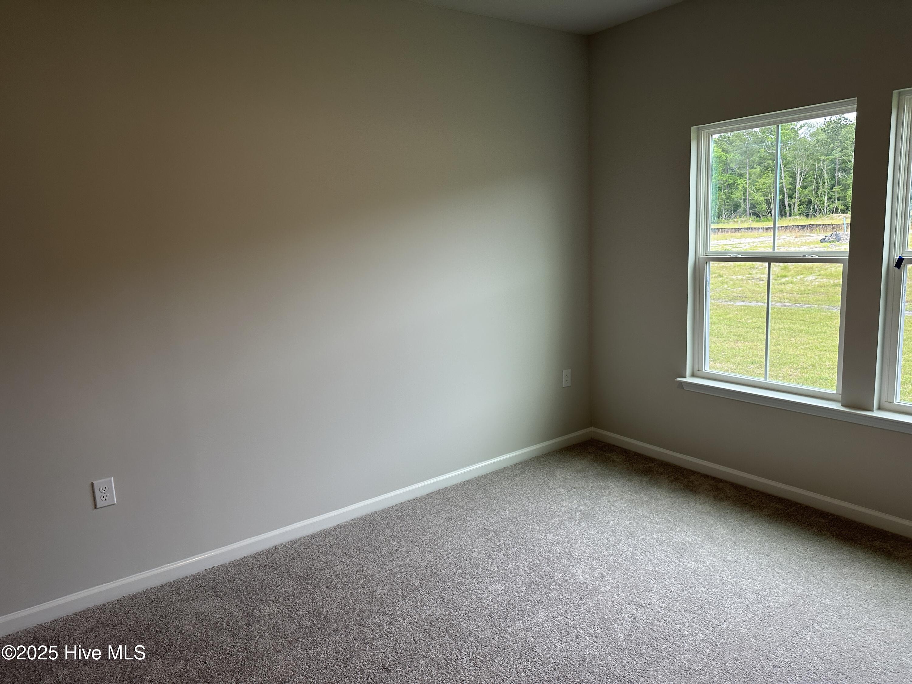 3341 Wood Stork Drive Litchfield Ii Lot 83 Property Photo 10