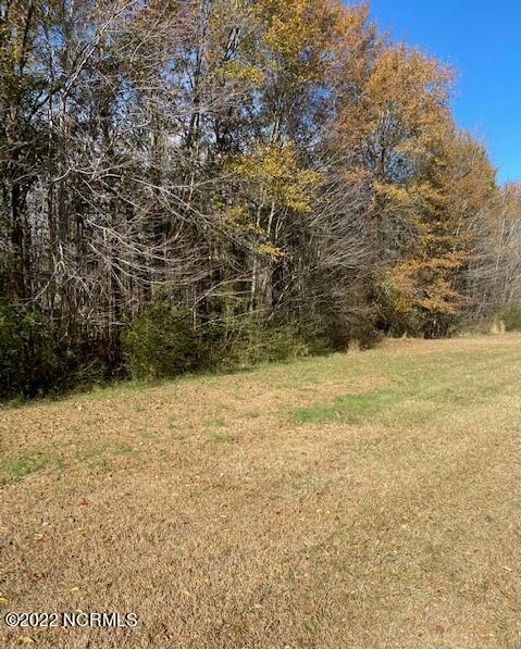 1024 Coburn Lane Property Photo 5