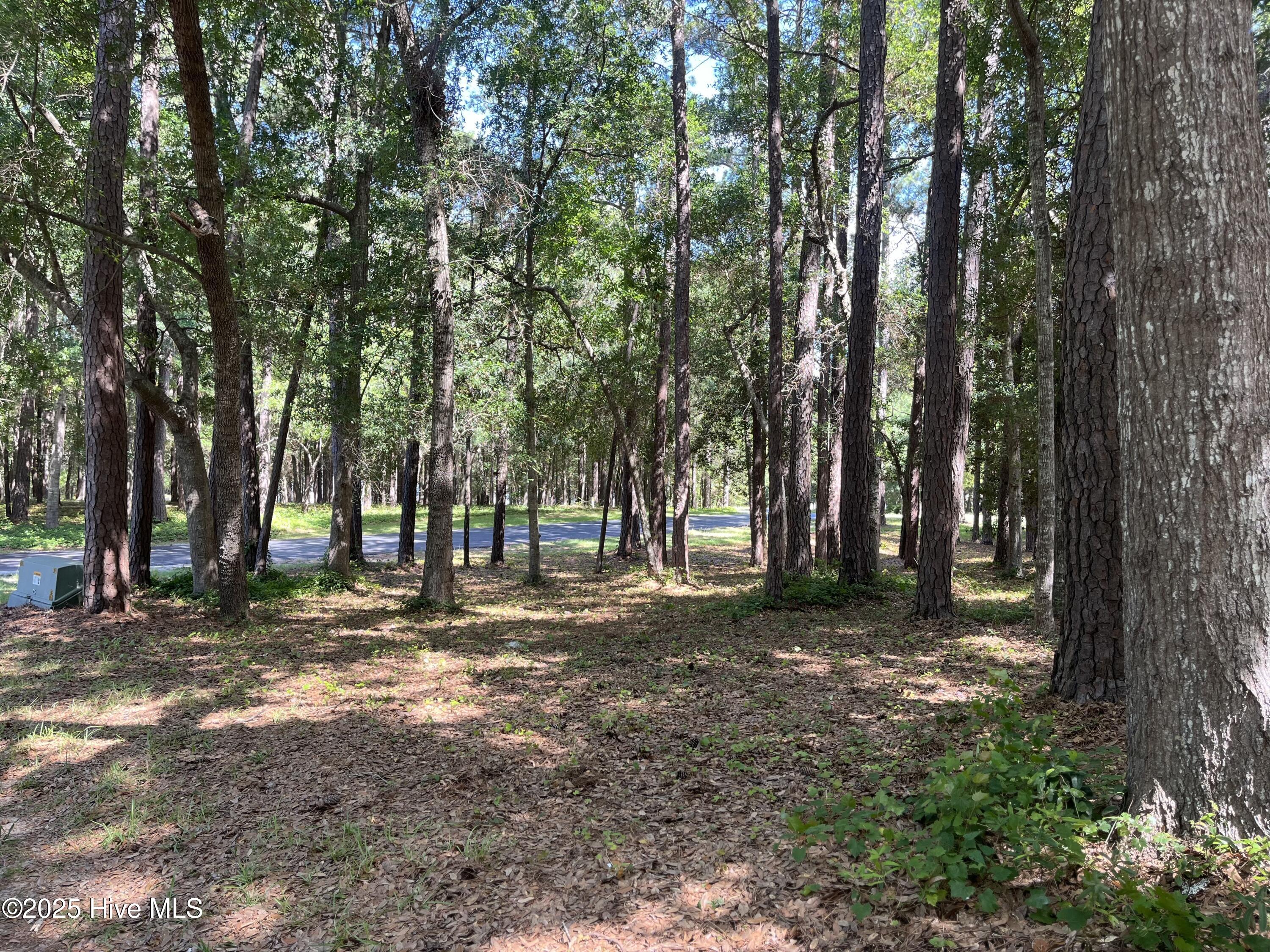 654 Folly Drive Property Photo 8