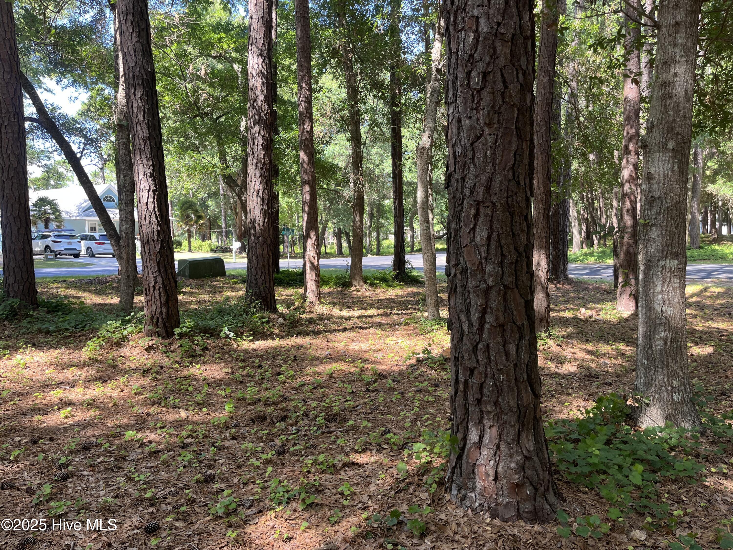 654 Folly Drive Property Photo 9