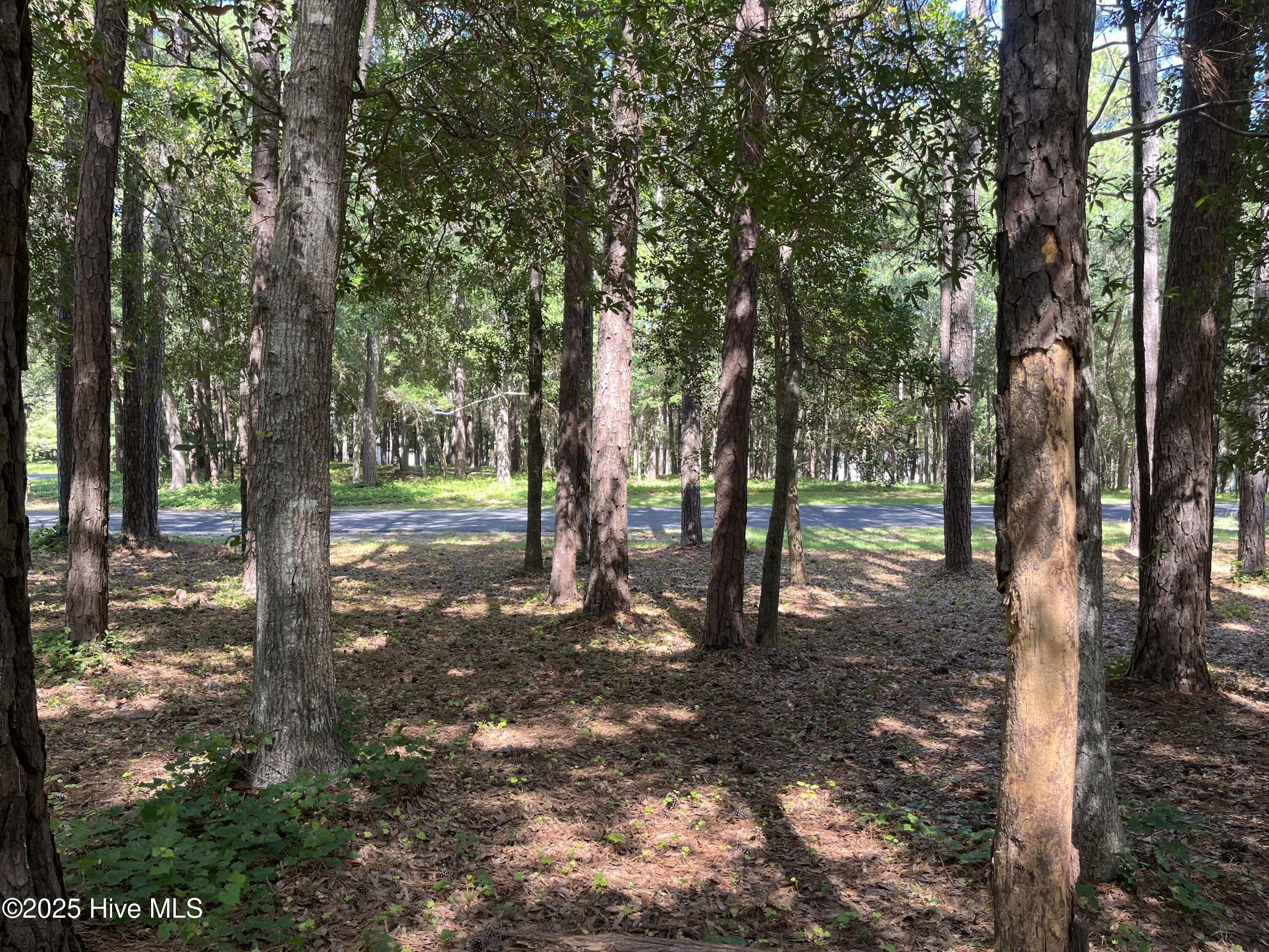 654 Folly Drive Property Photo 11