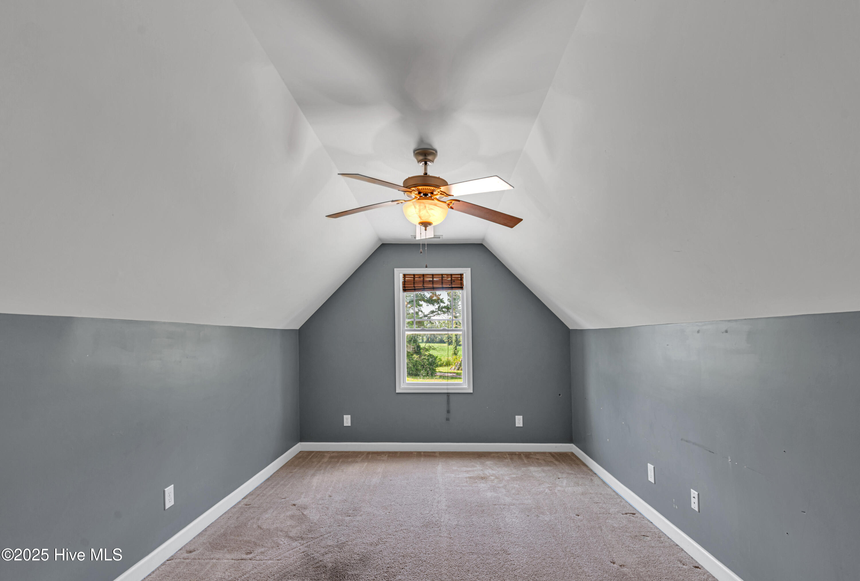 291 Richlands Loop Road Property Photo 41