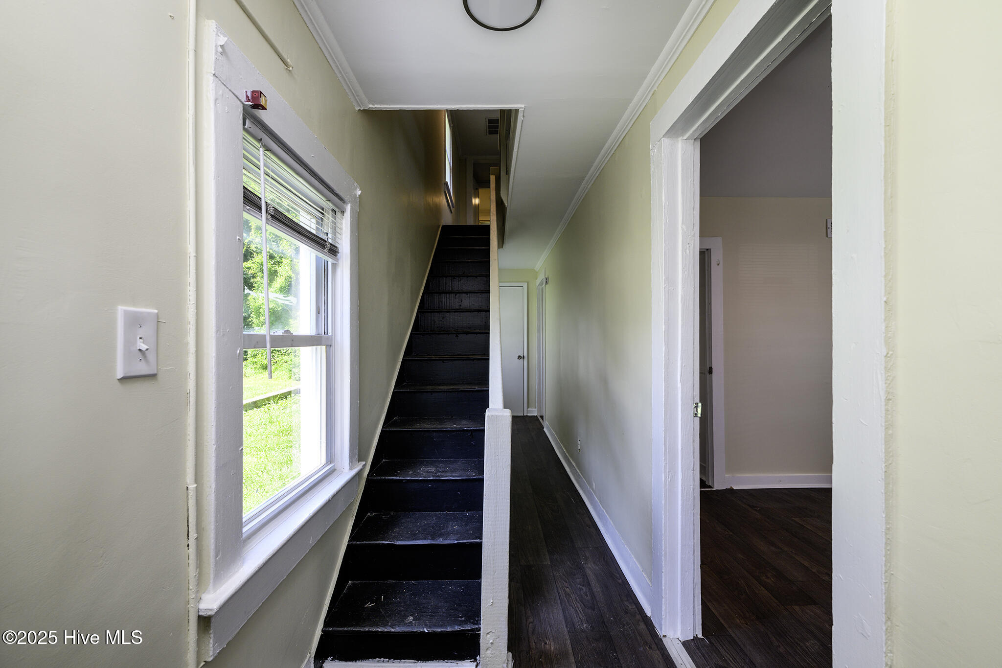 617 1st Avenue Property Photo 3