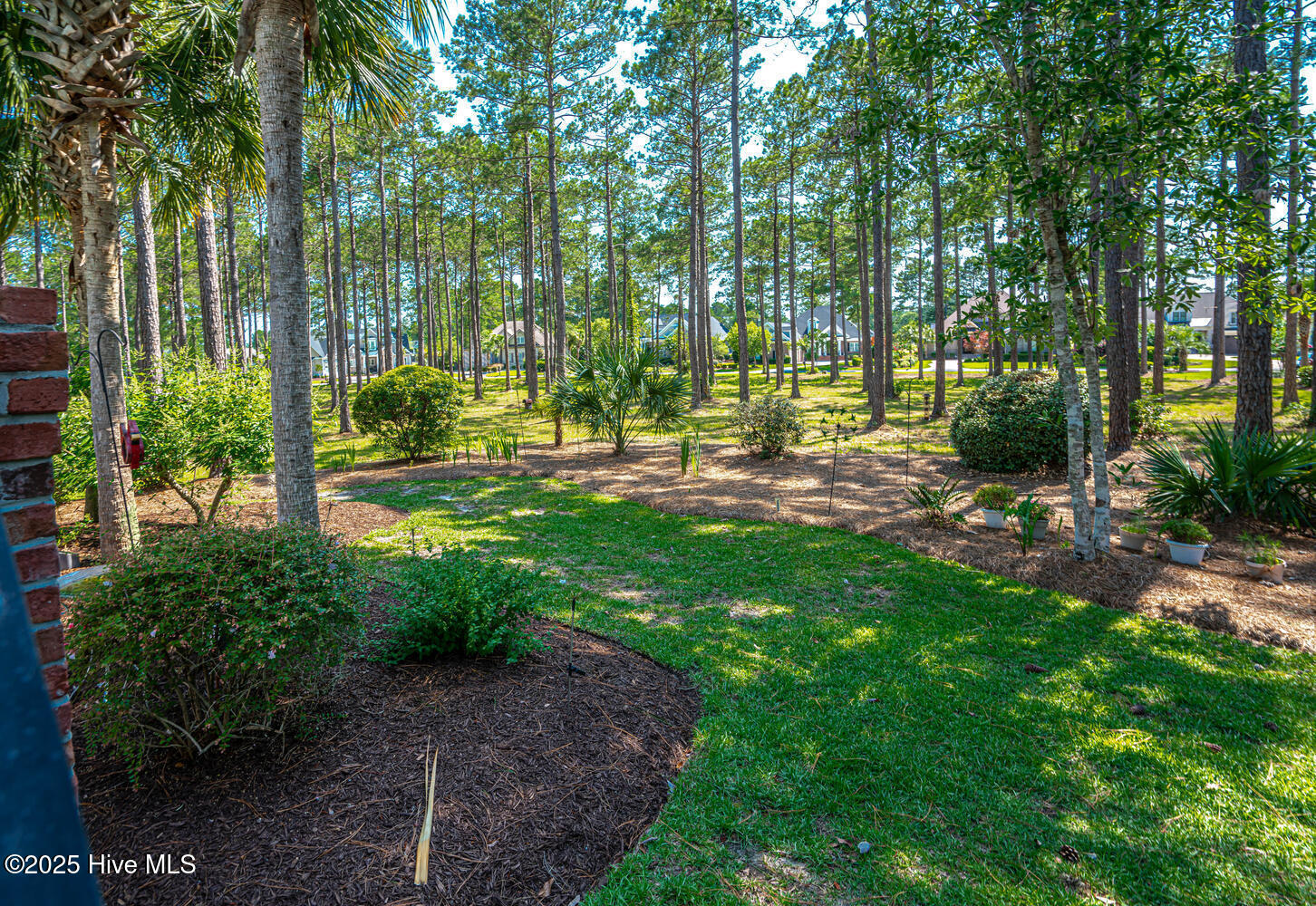 6601 Annesbrook Place Property Photo 50