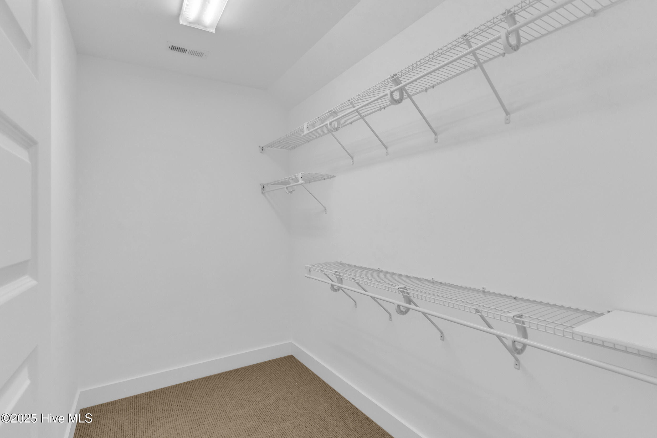 311 College Street Property Photo 28