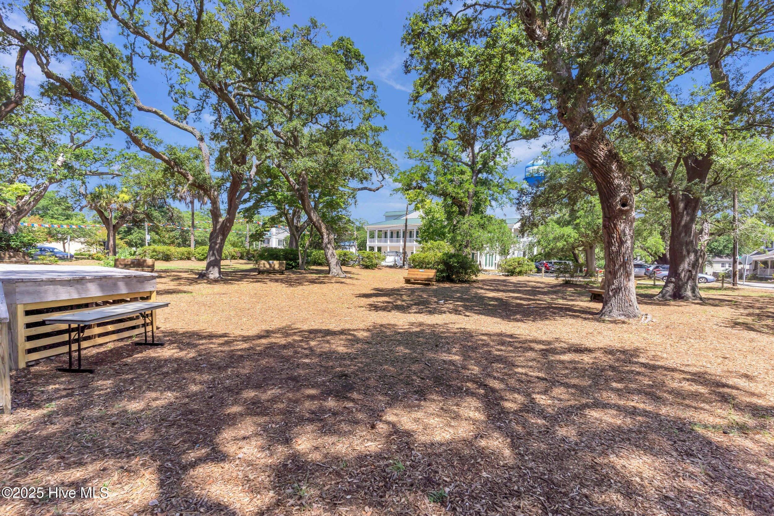 311 College Street Property Photo 43