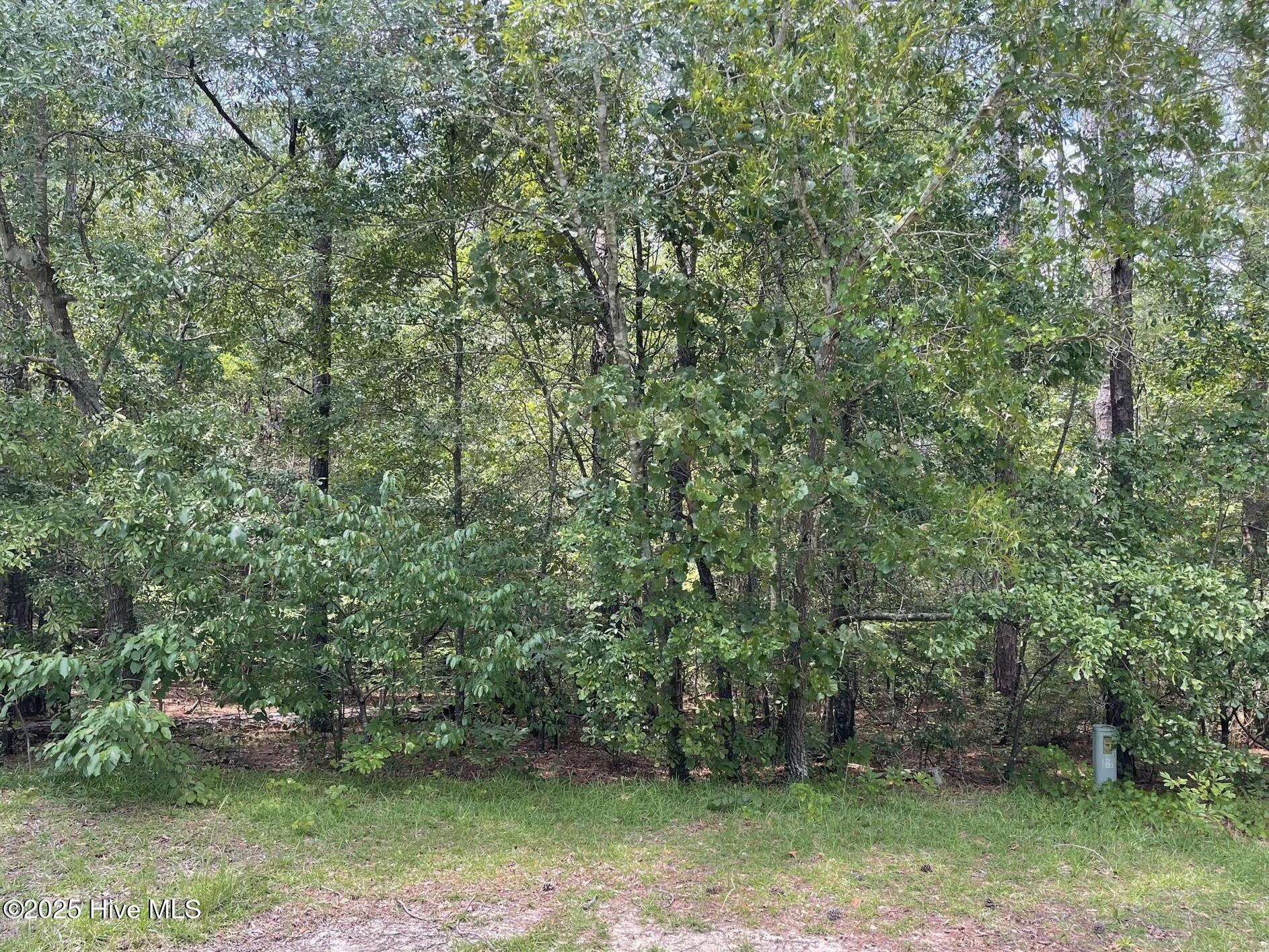 8 8 Country Lane Property Photo 11