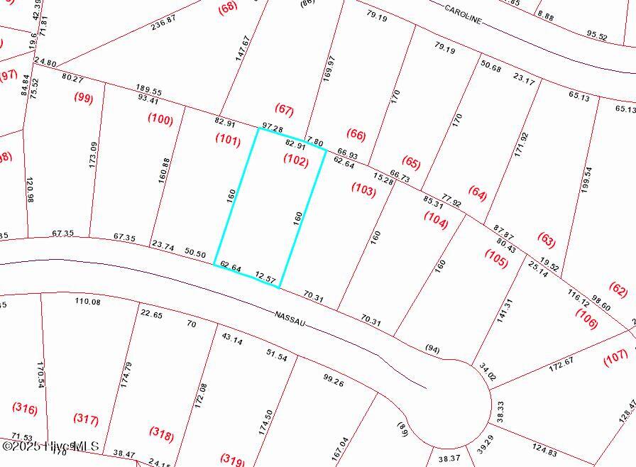 909 Nassau Court Property Photo 2