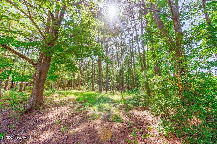 1738 Nc 306 Highway Property Photo 85