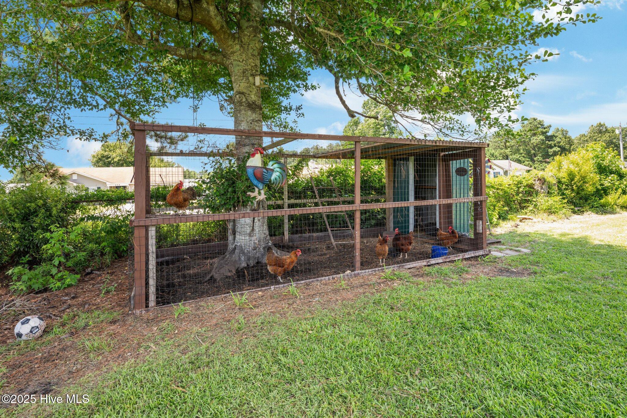 213 Ashwood Court Property Photo 28