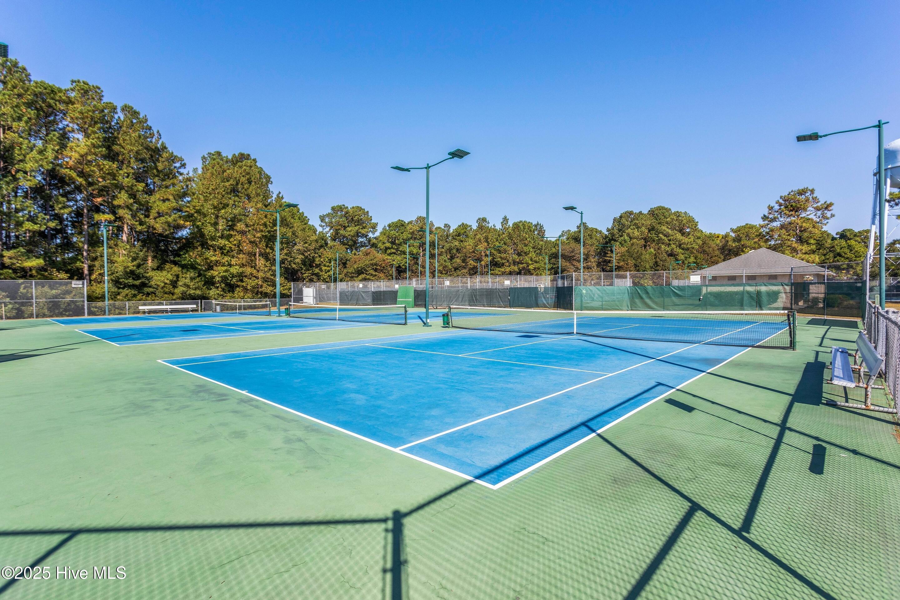 706 Bent Twig Court Property Photo 44