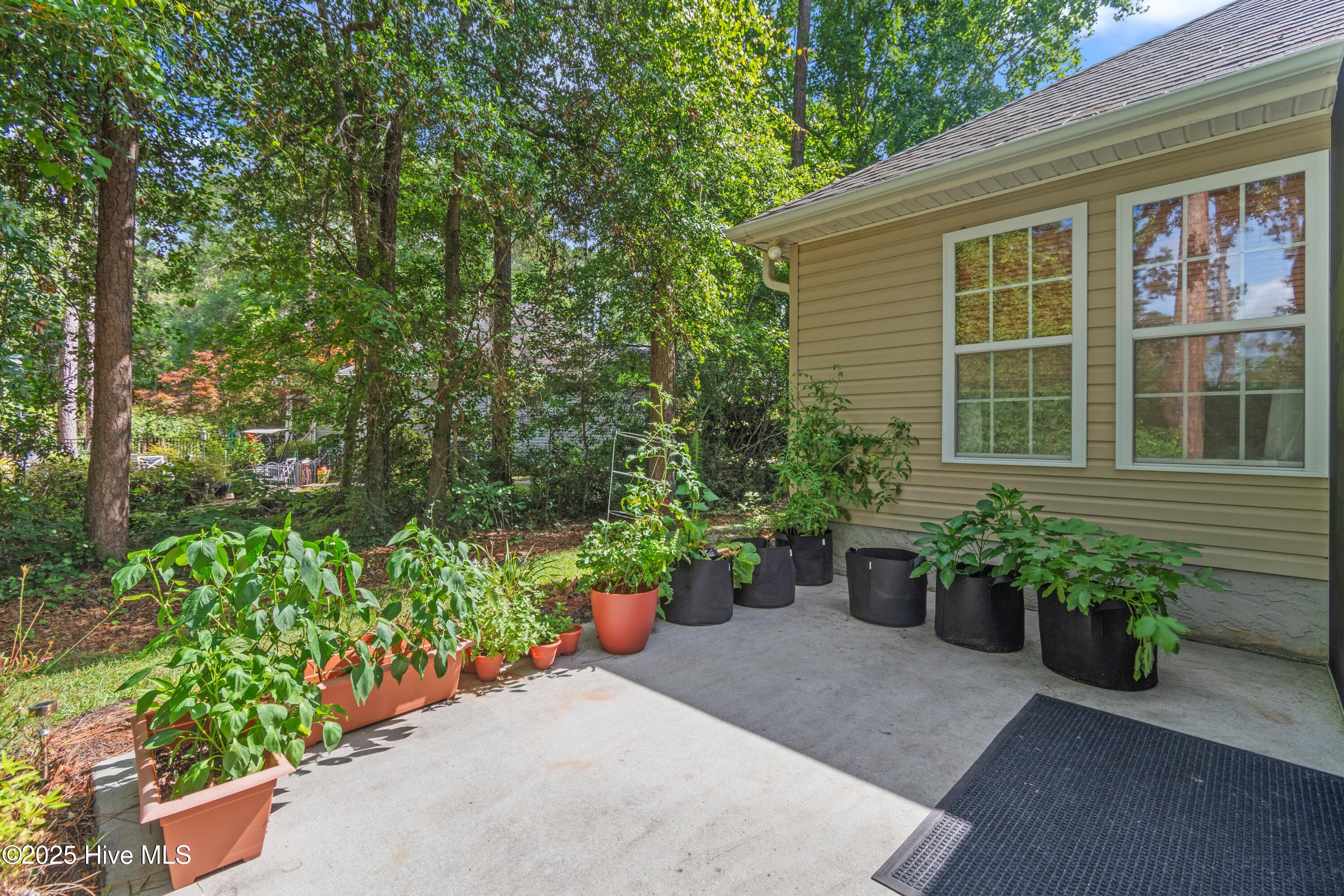 58 Carolina Shores Drive Property Photo 18