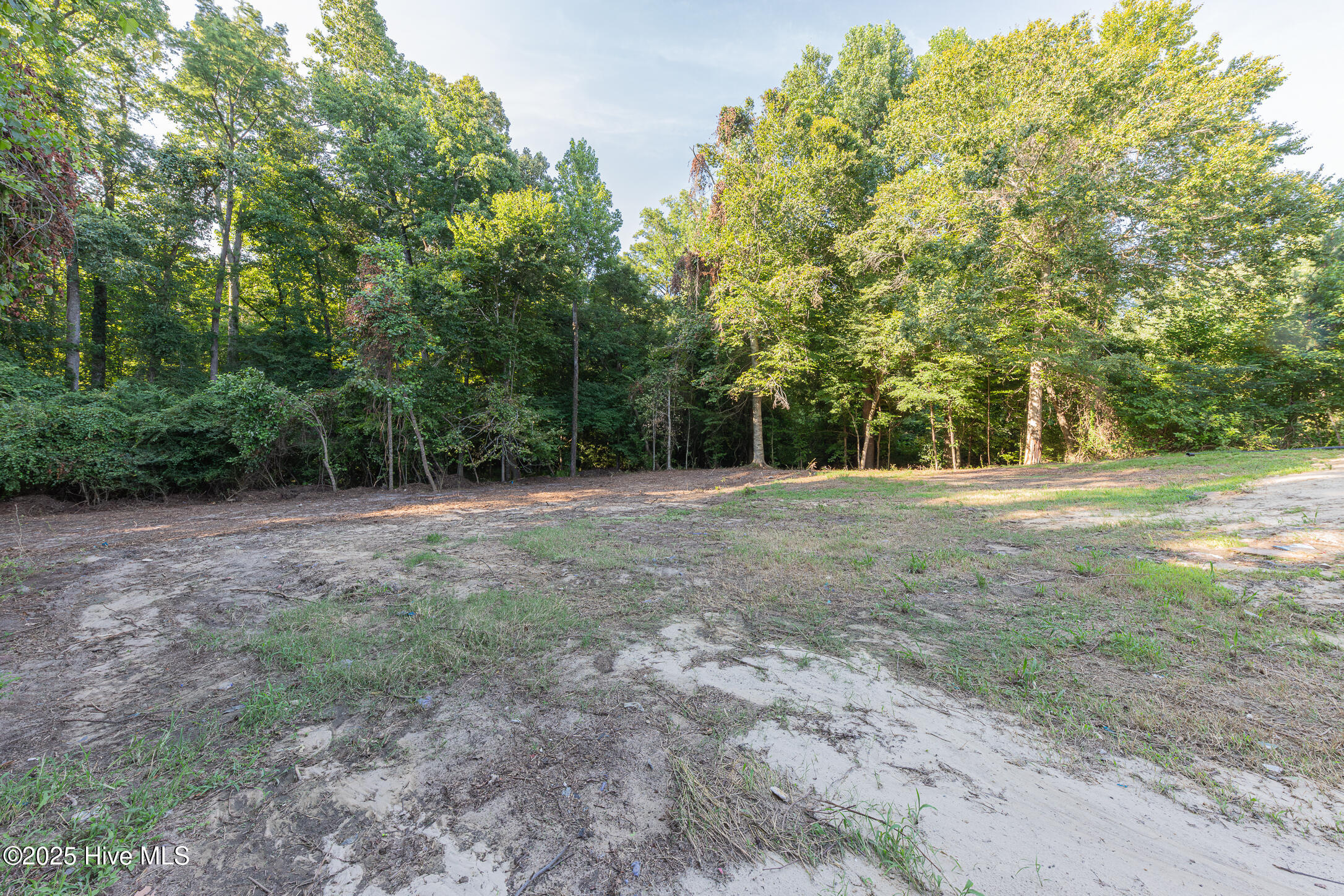 307 Shipmans Pike Property Photo 43