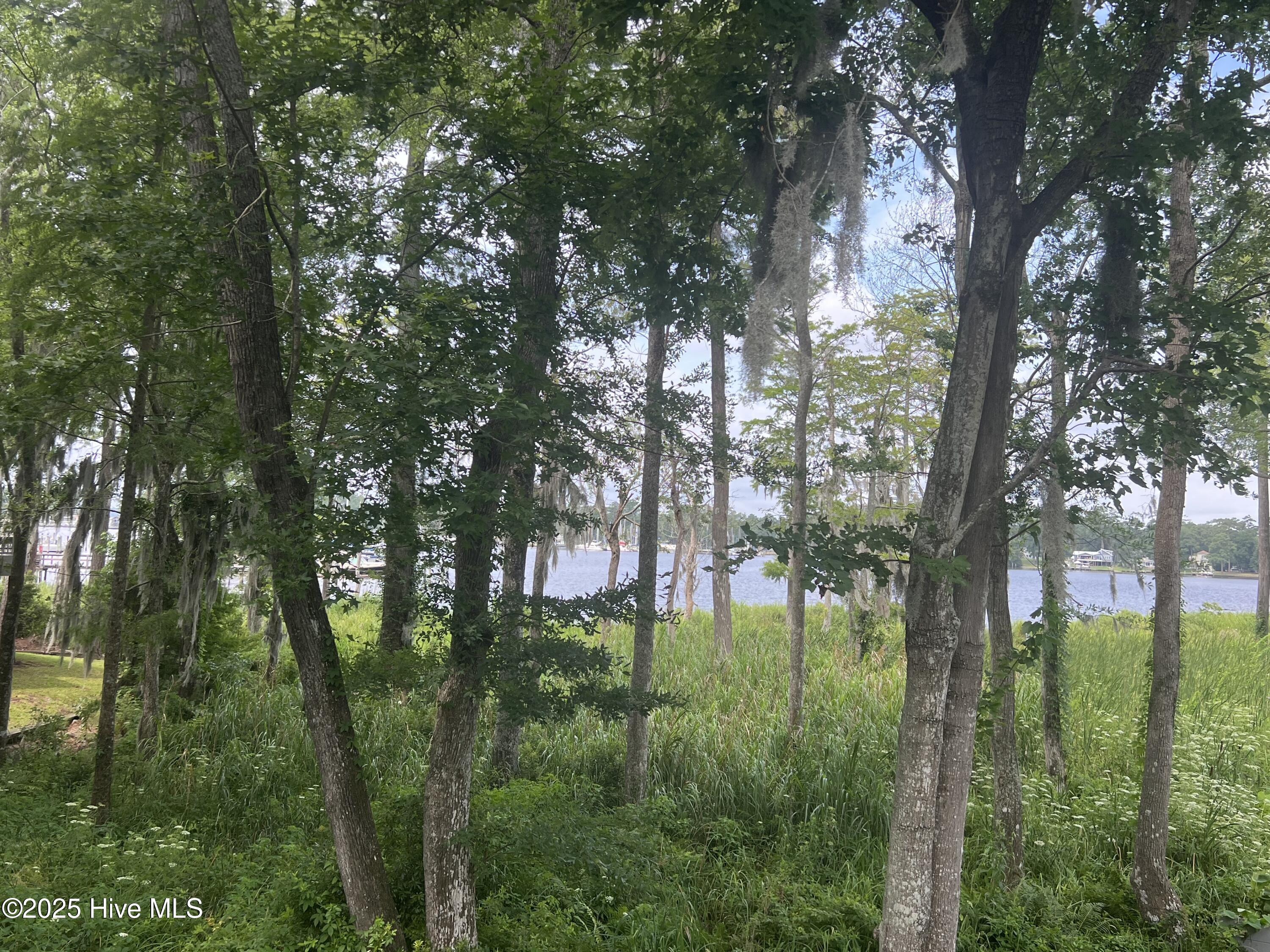 175 Delta Drive Property Photo 3