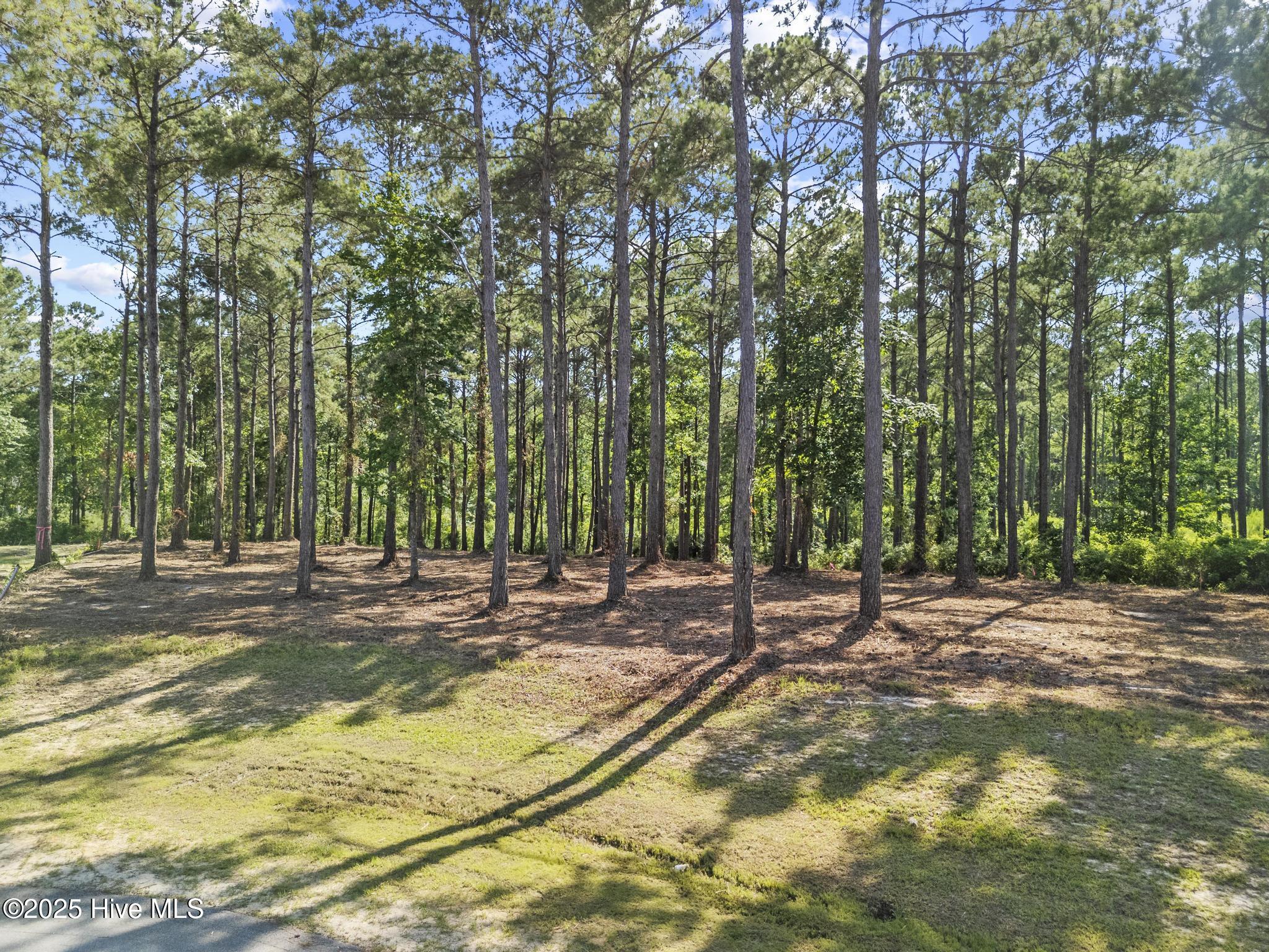 218 Alderman Landing Road Property Photo 2