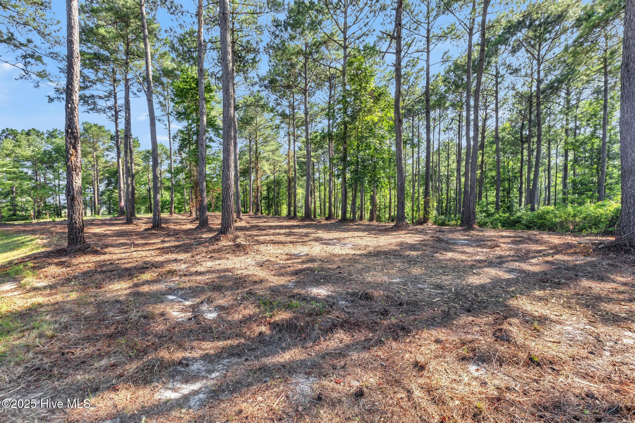 218 Alderman Landing Road Property Photo 11