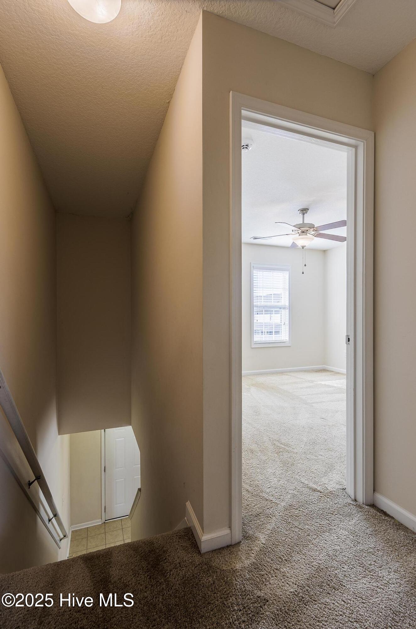 161 Glen Cannon Drive Property Photo 10