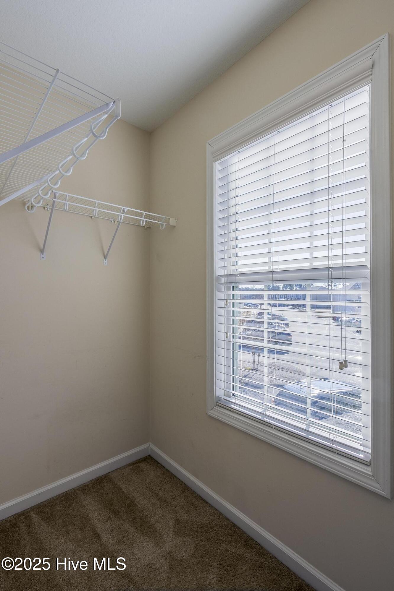 161 Glen Cannon Drive Property Photo 13