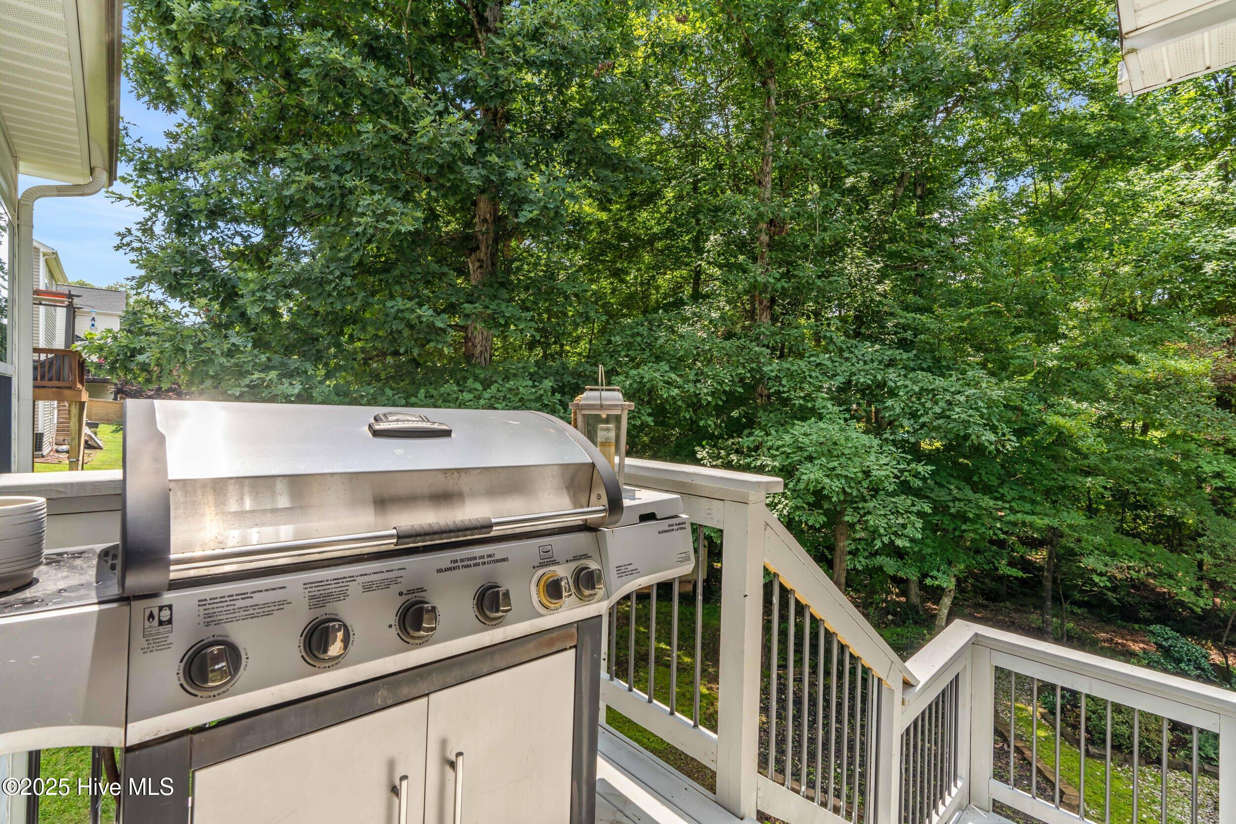 309 Holly Thorn Trace Property Photo 46