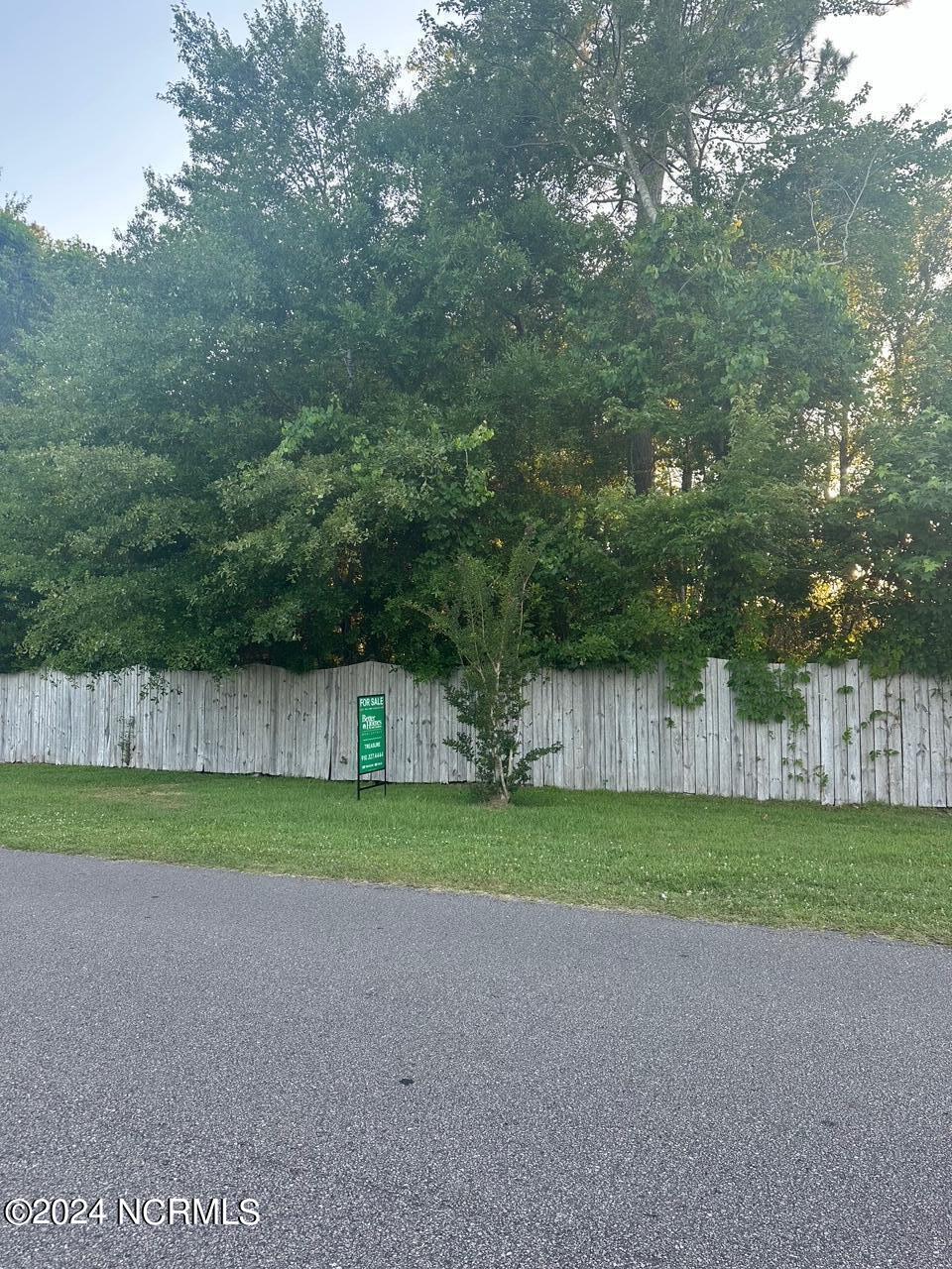 Tbd Currituck Drive Property Photo 2