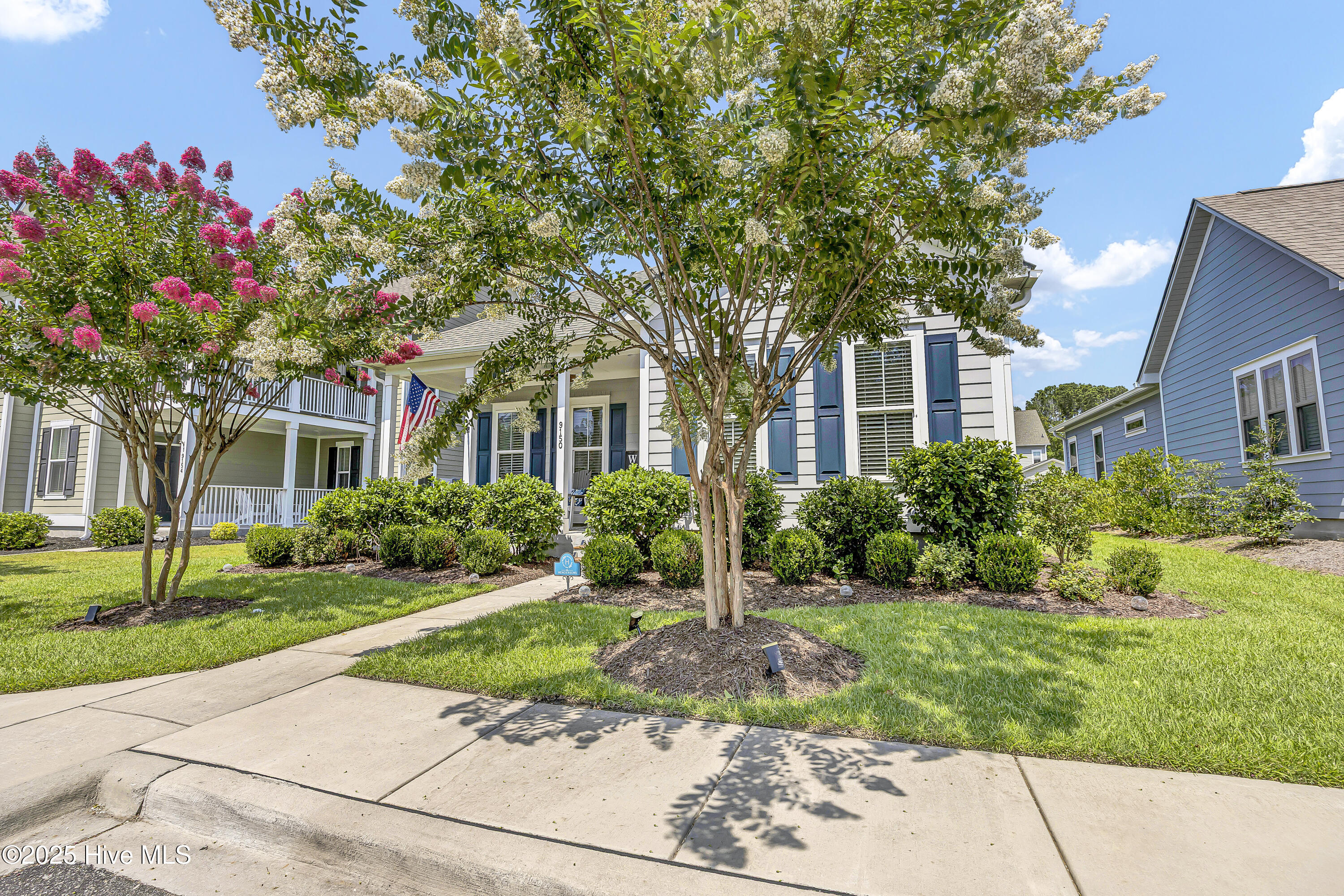 9150 Village Lake Drive Property Photo 4