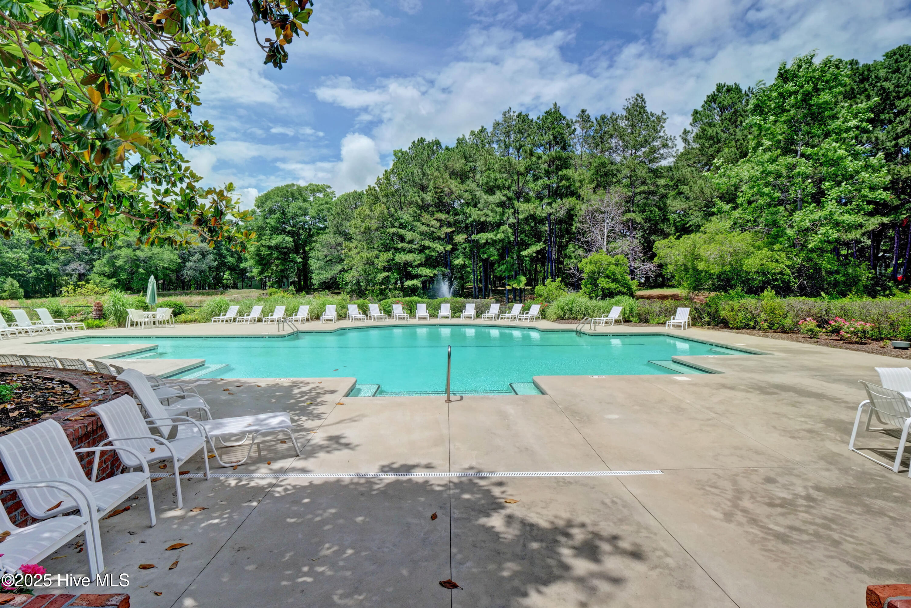 9150 Village Lake Drive Property Photo 63
