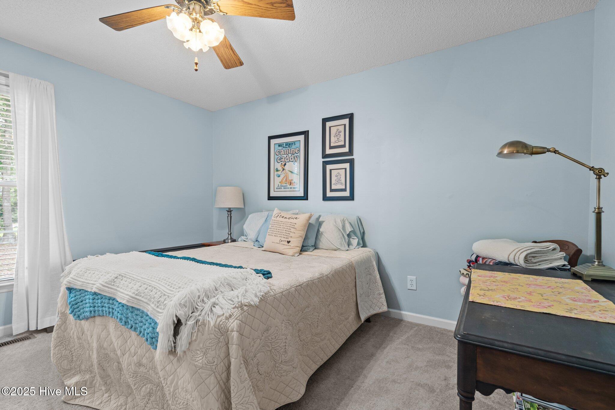 145 Devonshire Avenue Property Photo 29