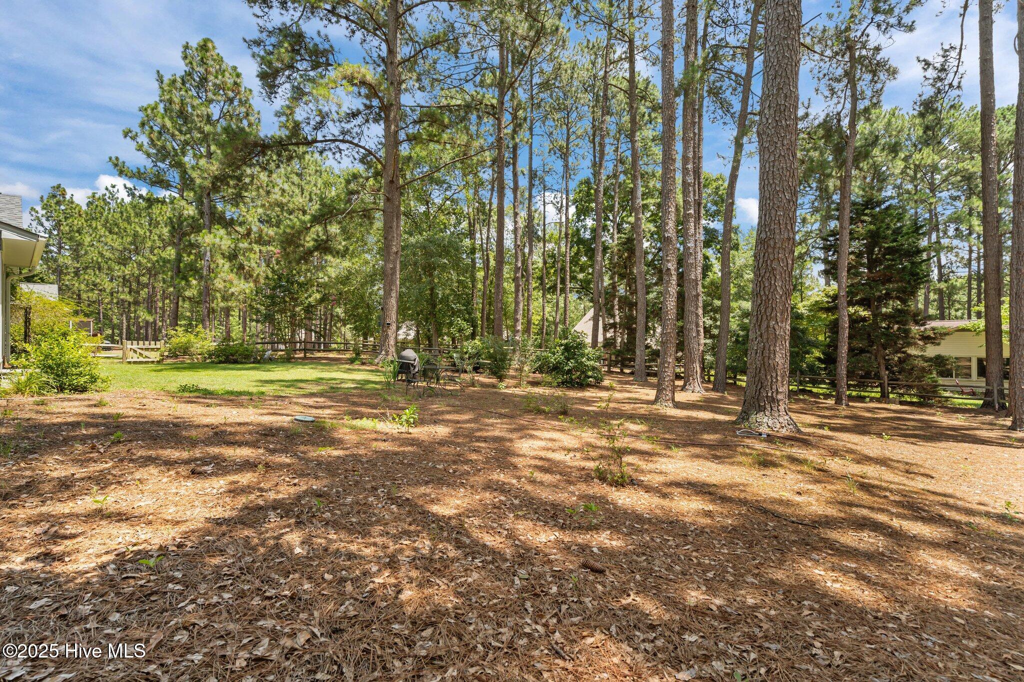 145 Devonshire Avenue Property Photo 35