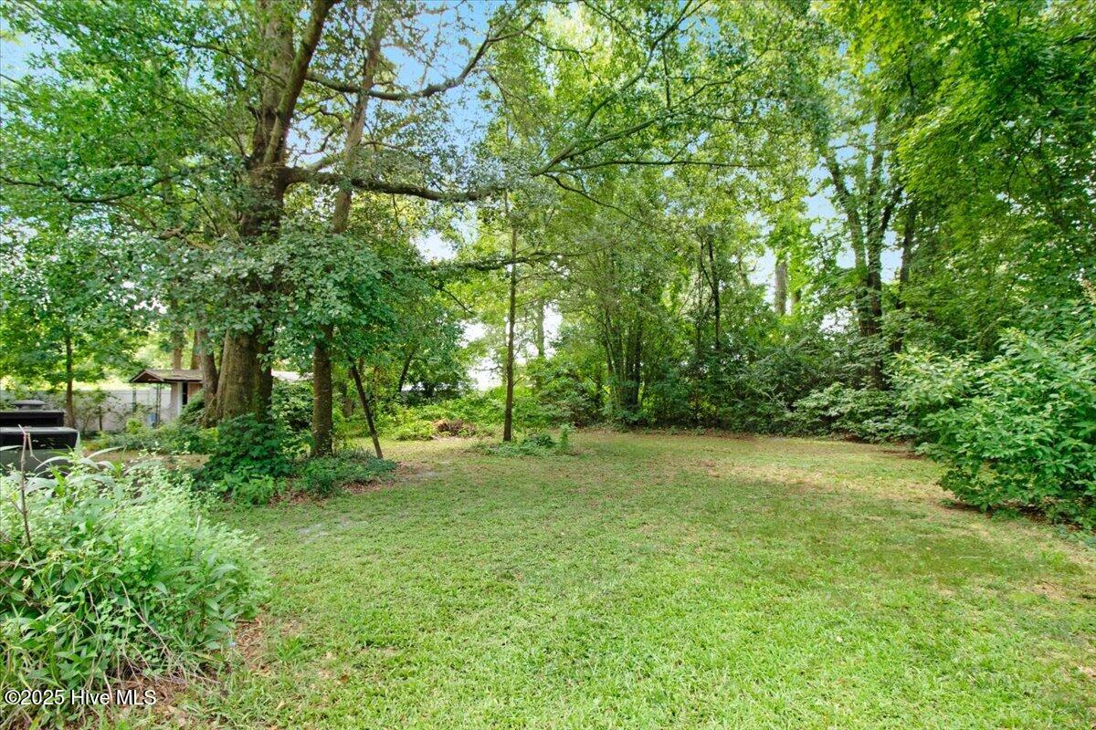 308 Spring Creek Road Property Photo 8