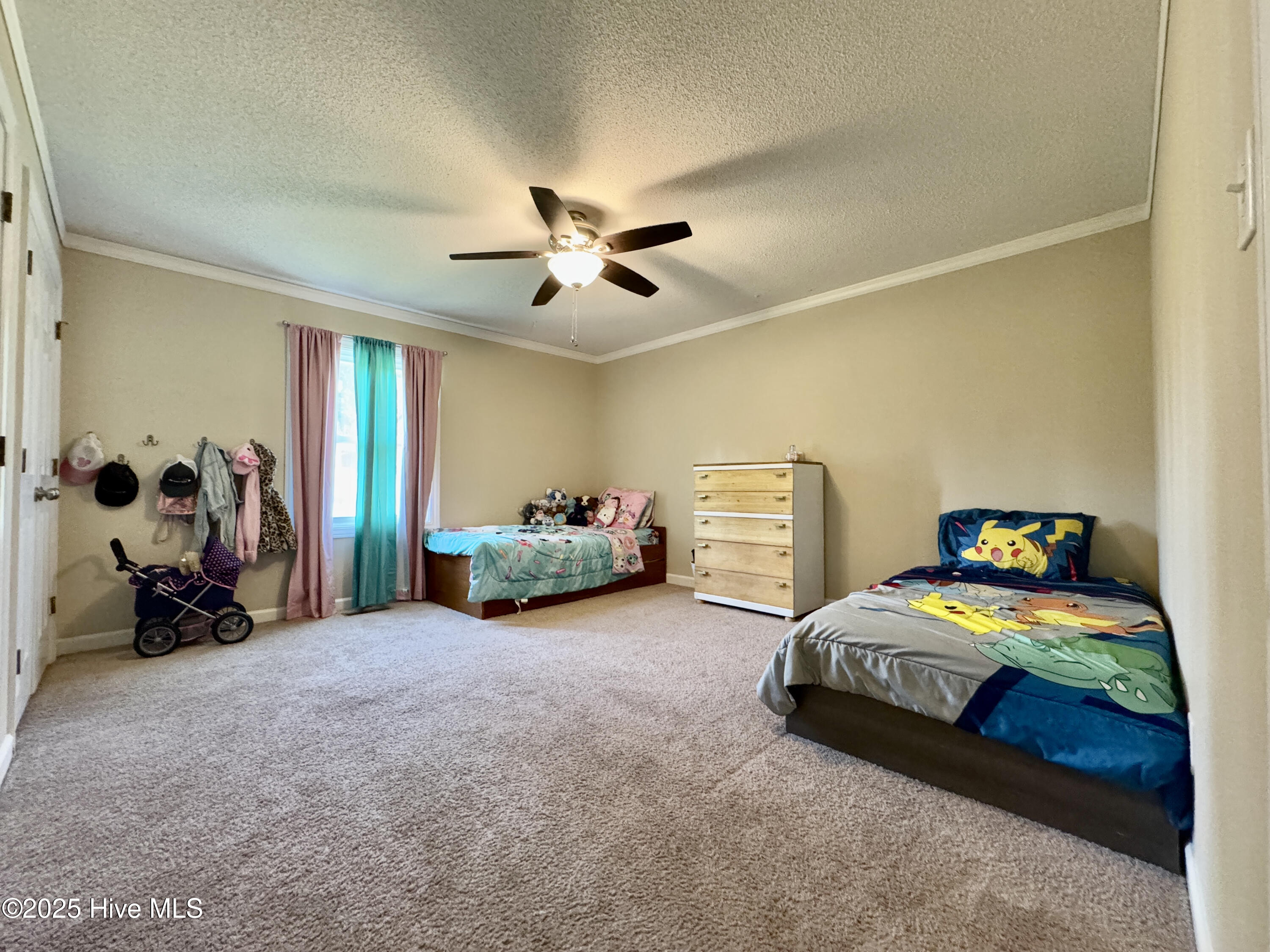 26 Runningbranch Drive Property Photo 17