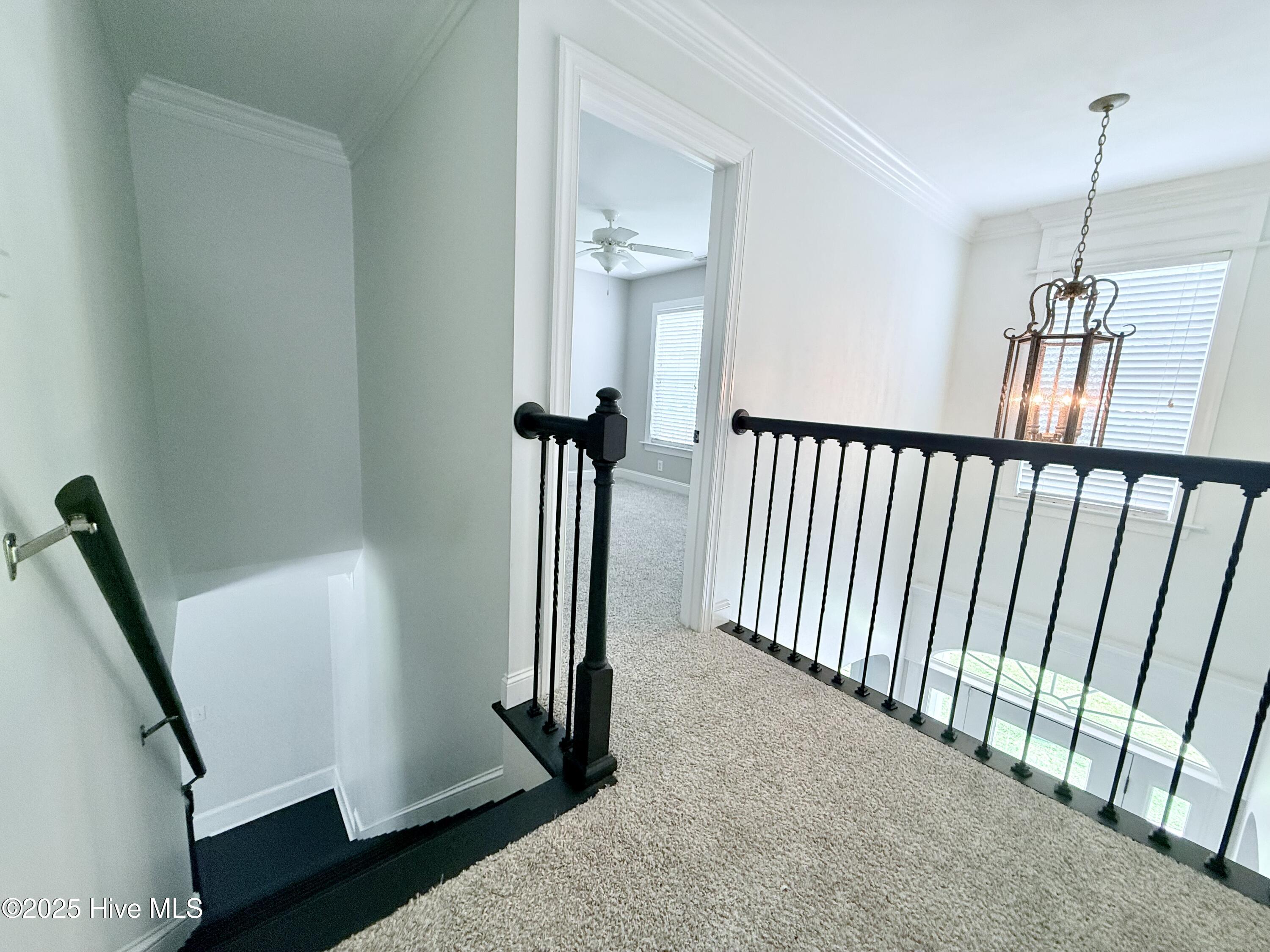 2203 Franklin Drive Property Photo 25