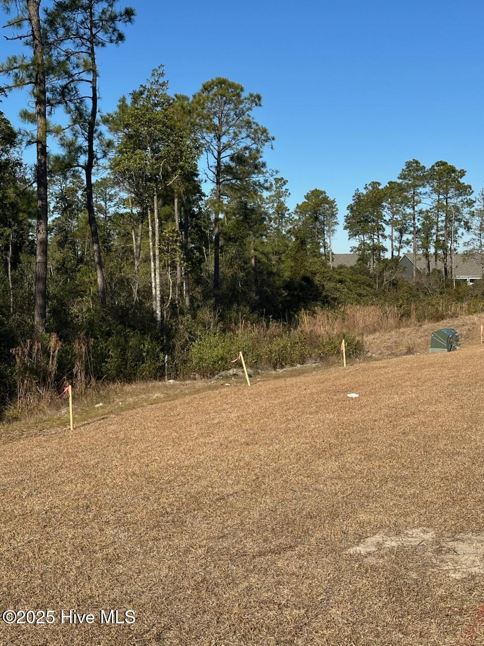 7751 Pennycress Drive 562 Property Photo 33