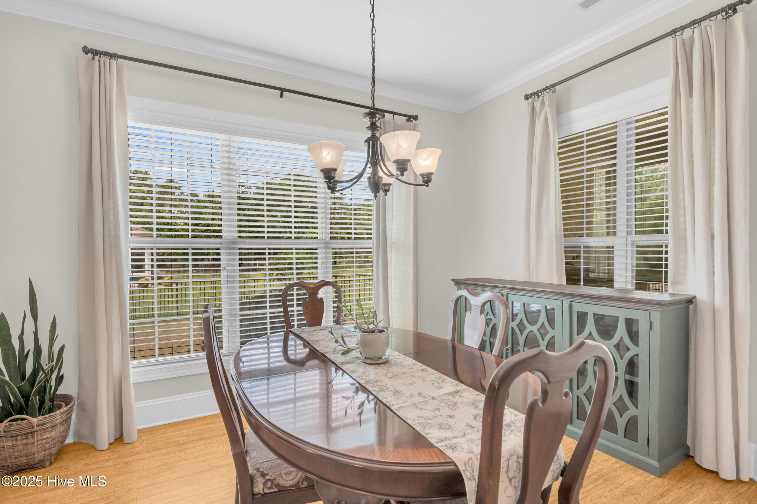 1414 Serrulata Drive Property Photo 14