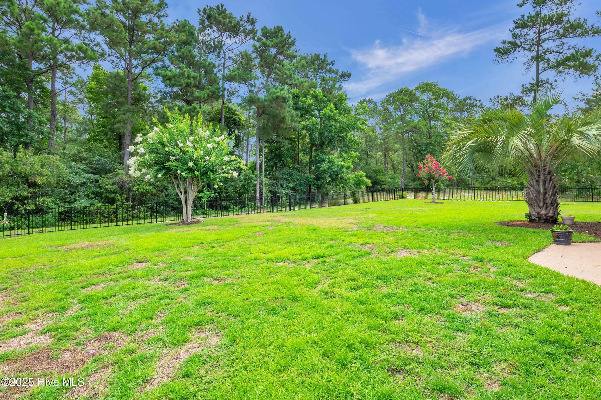1414 Serrulata Drive Property Photo 43