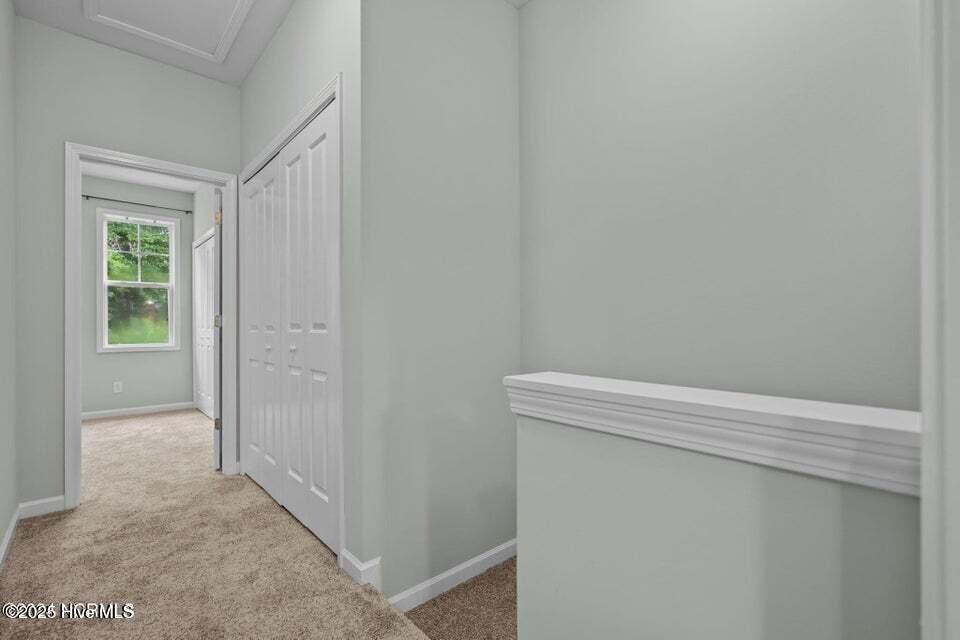 941 Downey Branch Lane Property Photo 20