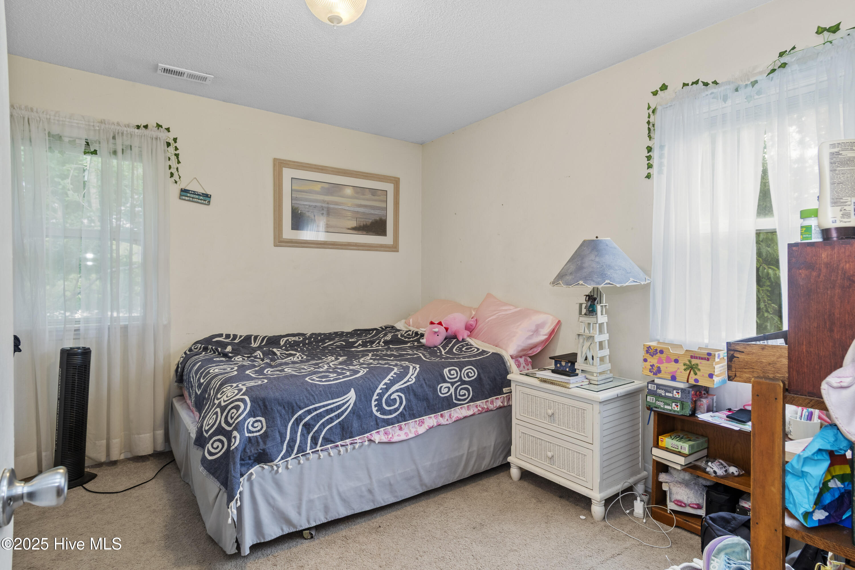 120 Shorerush Drive Property Photo 27