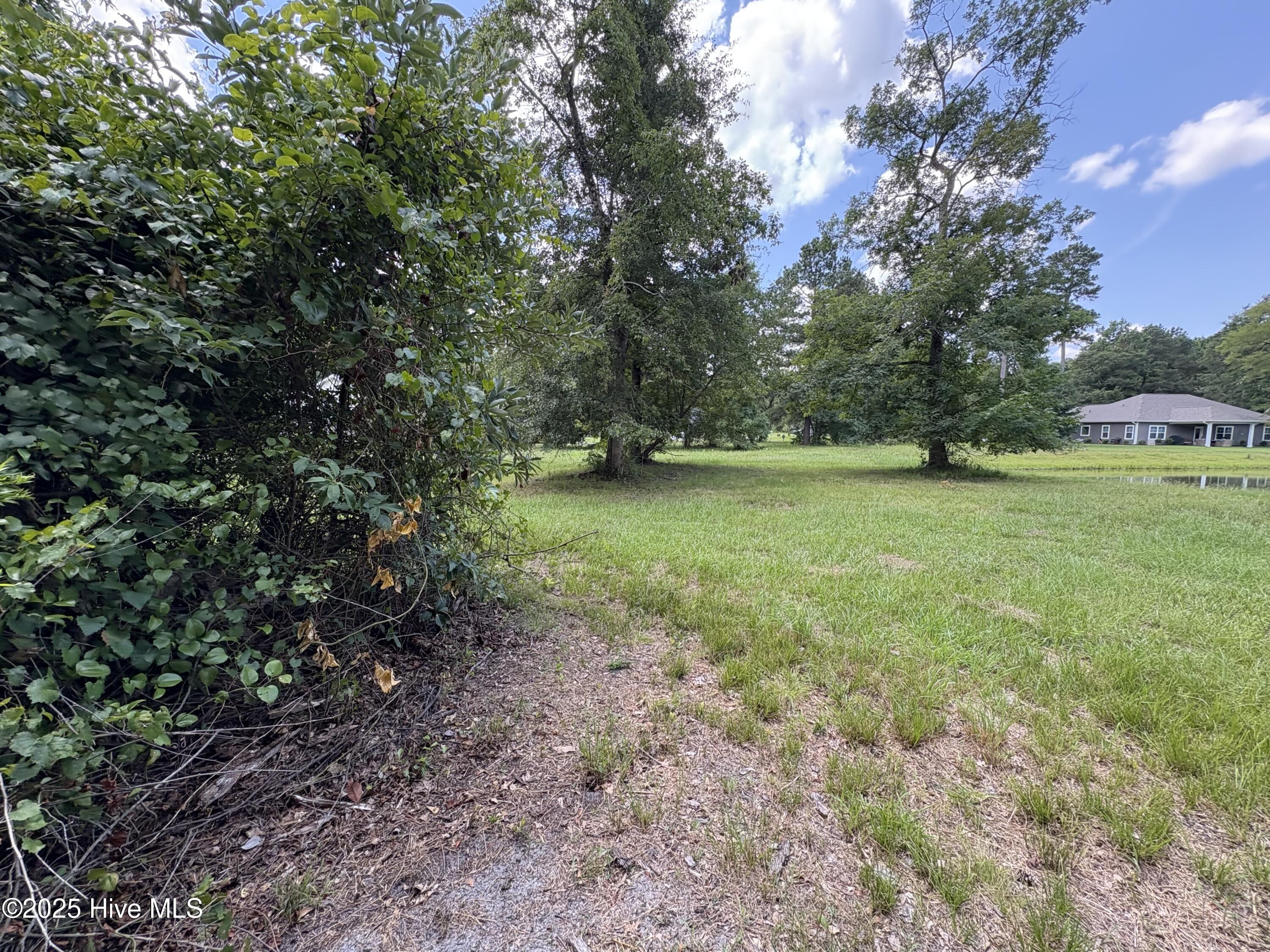 135 Willow Oaks Drive Property Photo 5