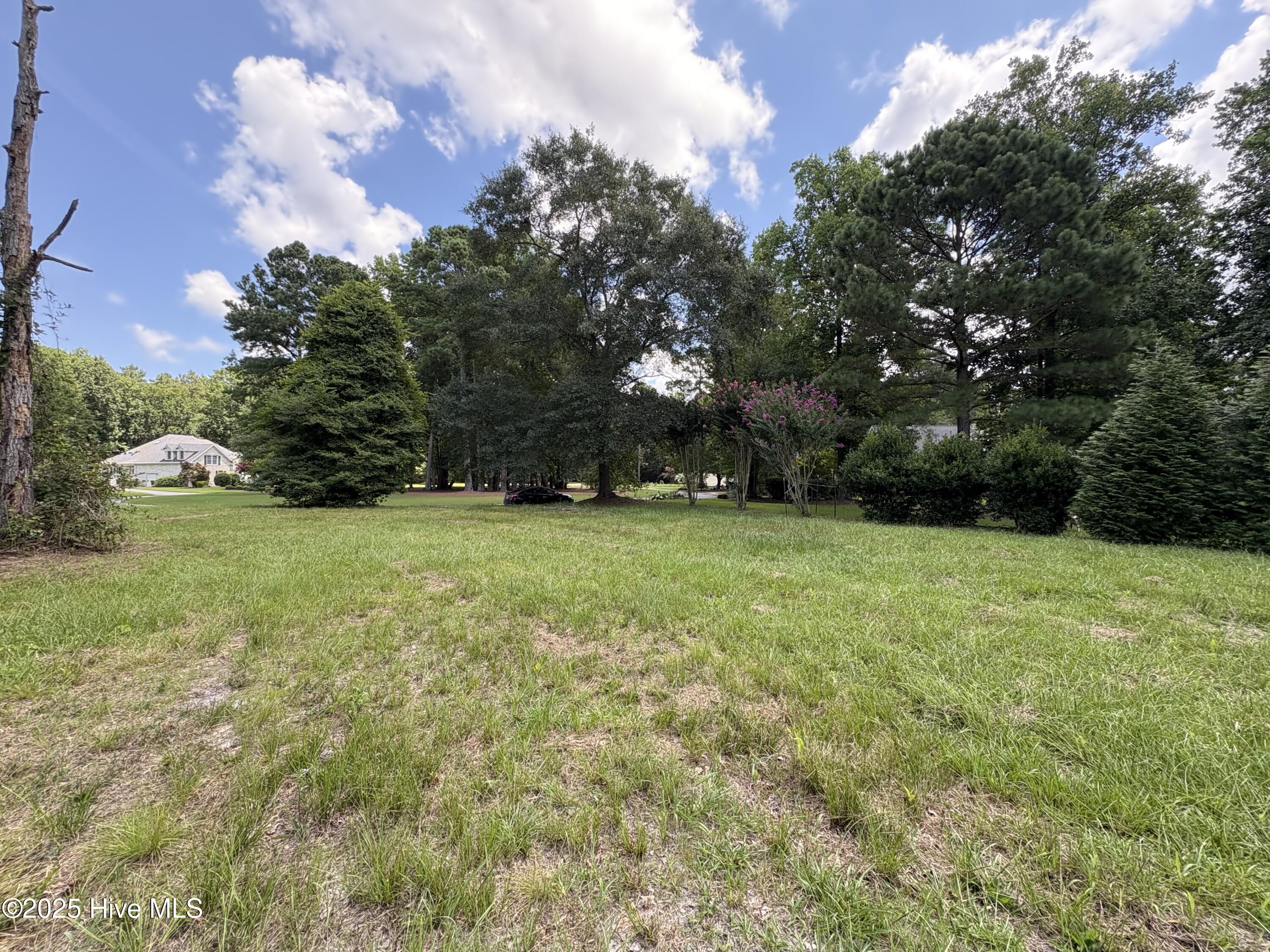 135 Willow Oaks Drive Property Photo 6