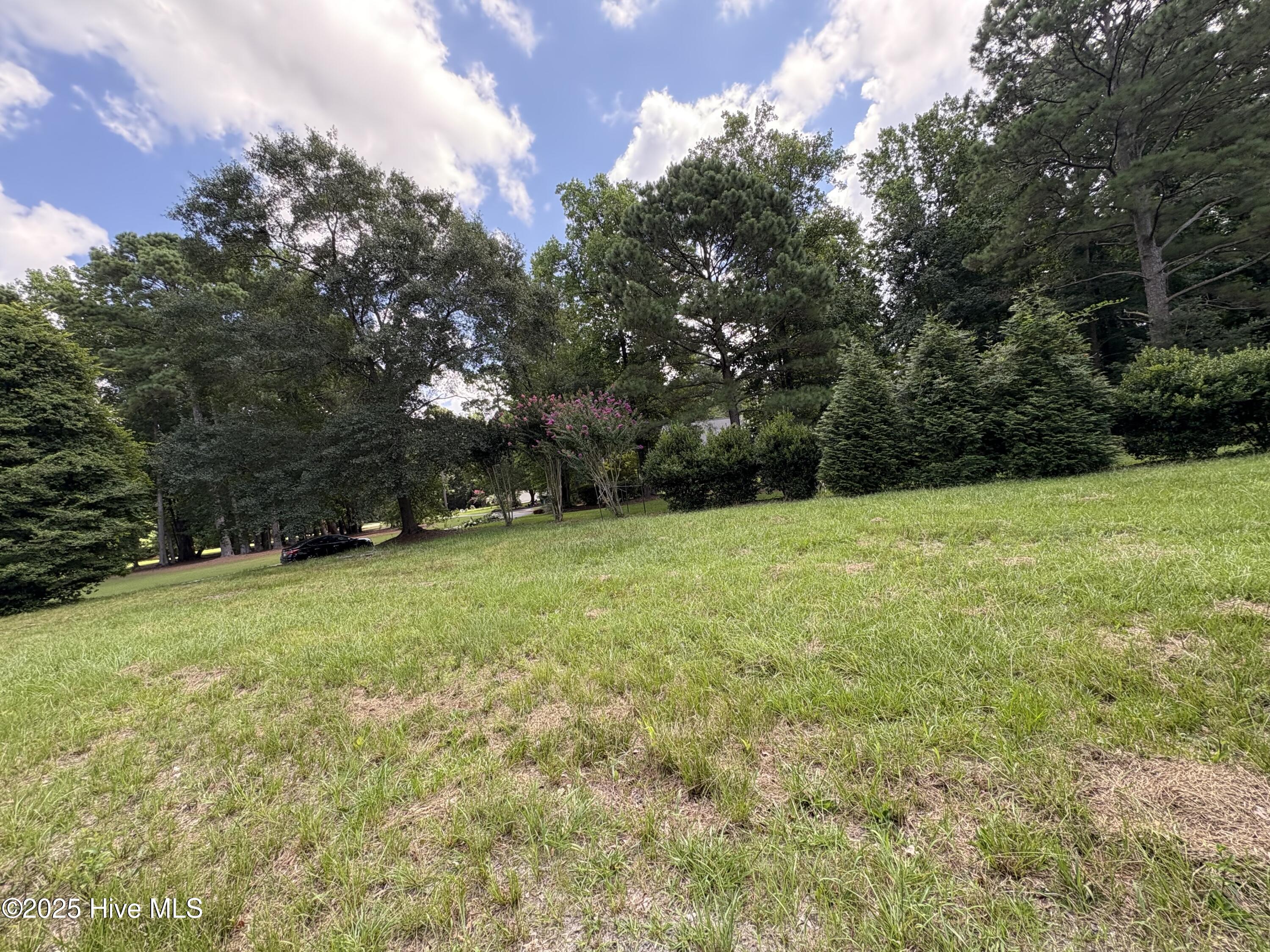 135 Willow Oaks Drive Property Photo 10