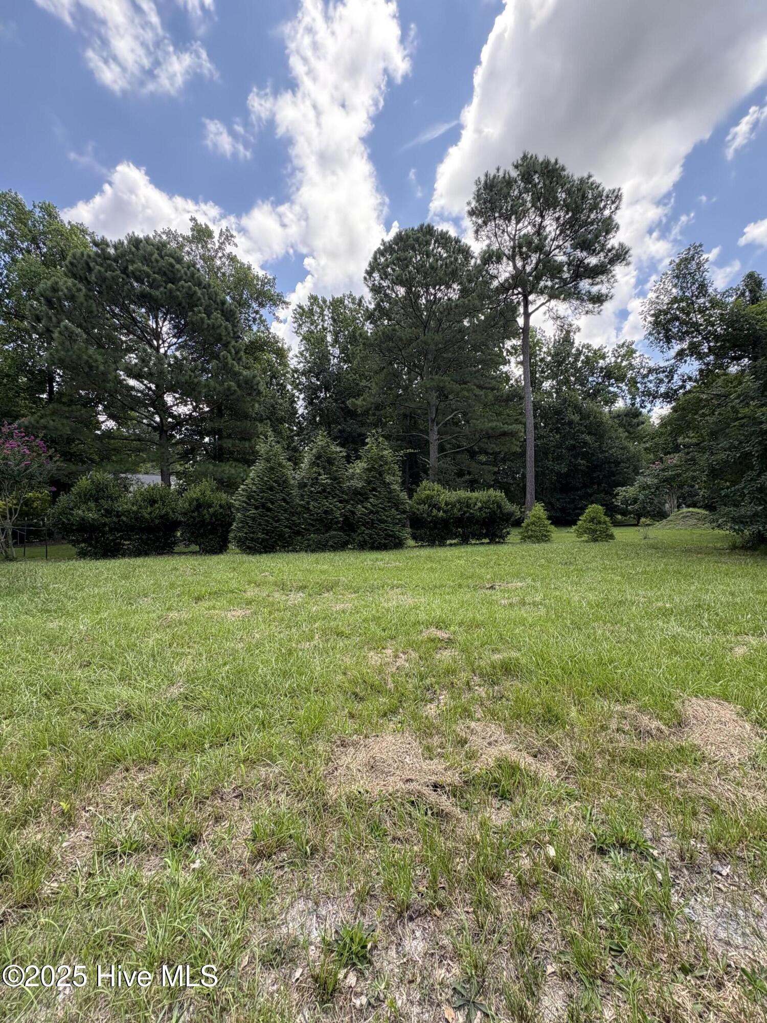 135 Willow Oaks Drive Property Photo 11